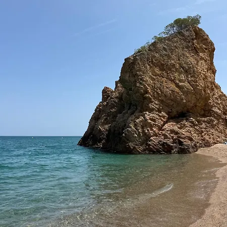 Renove Vue Piscine * Пальс